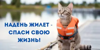 Надень жилет, спаси свою жизнь!