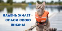 Надень жилет, спаси свою жизнь!