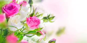 Заслуженная награда - достойному педагогу